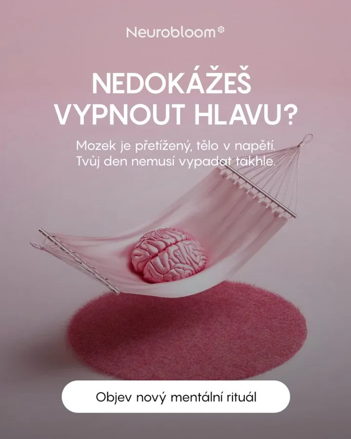 Neurobloom — Nedokážeš vypnout hlavu?